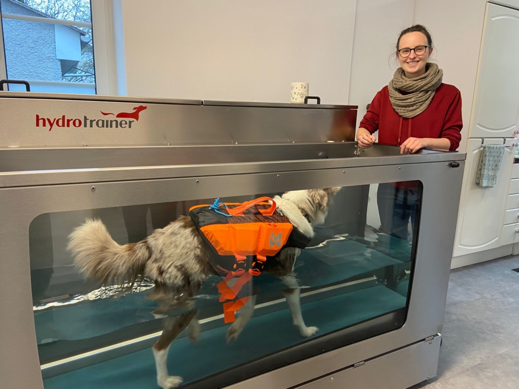 930ca462-cc2d-4a17-8fff-328b1b3c897f